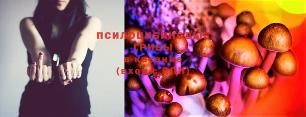 не бодяженный Каменск-Шахтинский