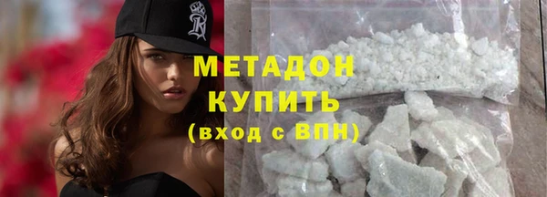 индика Инсар