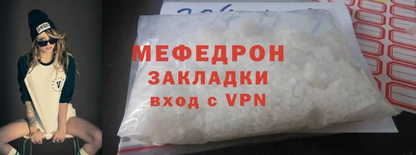 индика Инсар