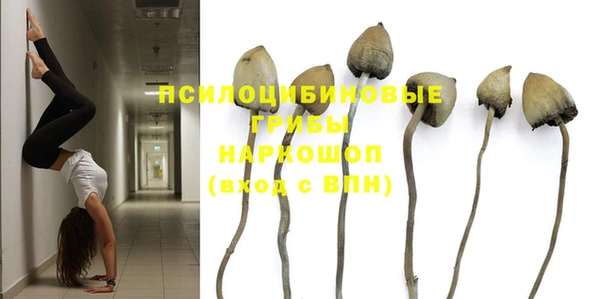 дурь Зеленодольск