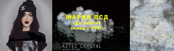 индика Инсар
