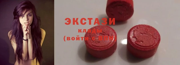 индика Инсар