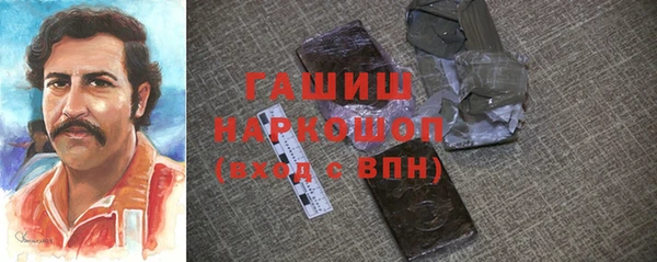 индика Инсар