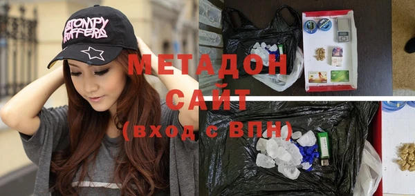 индика Инсар
