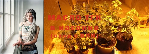 индика Инсар