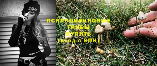 дурь Зеленодольск