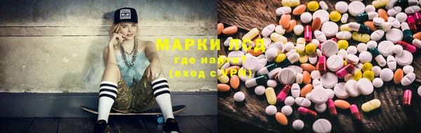ПСИЛОЦИБИНОВЫЕ ГРИБЫ Каменка