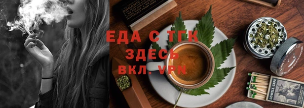 индика Инсар