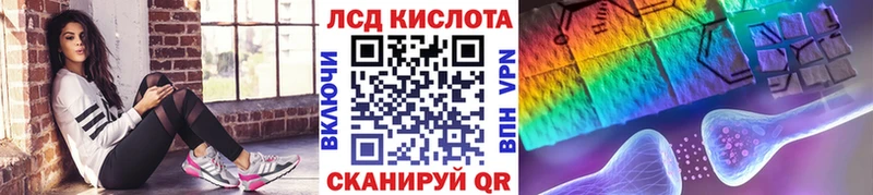Купить закладки  Губкин  Наркотические марки 1,5мг 