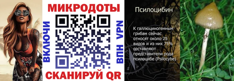 Купить где  Губкин  Псилоцибиновые грибы GOLDEN TEACHER 