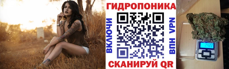 Шишки марихуана ГИДРОПОН  Купить  Губкин 